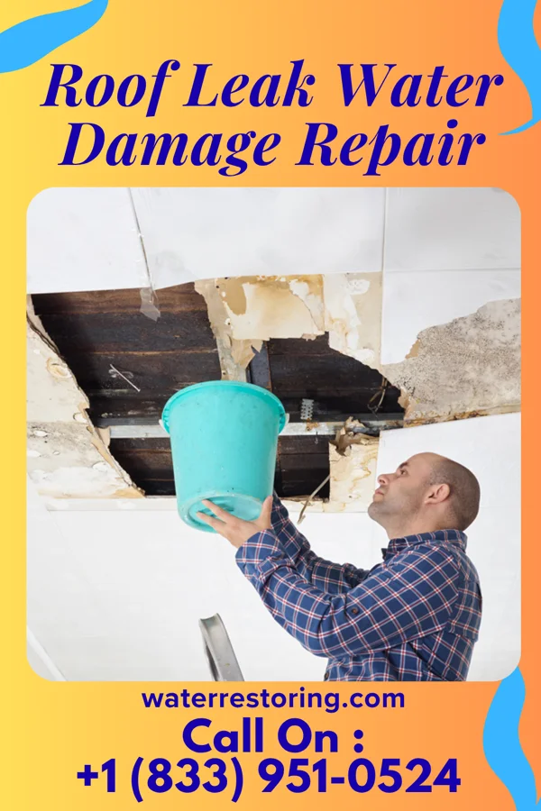 Roof Leak Water Damage Repair in Bascom, FL